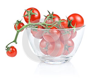 Branch of cherry tomato salad bowl