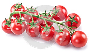 Branch of cherry tomato on the white background