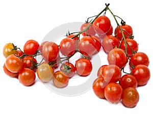 branch of cherry tomatoes, isolated on white background