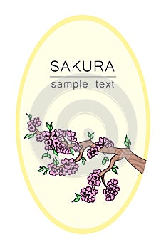 The branch of a cherry tree. Japanese cherry for decorative design. Isolated white background. Floral vector