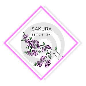 The branch of a cherry tree. Japanese cherry for decorative design. Isolated white background. Floral vector