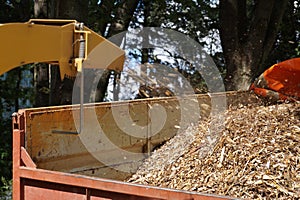 Branch chipper in action. Loading on a truck