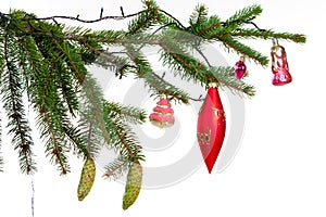 branch of Christmas fir tree