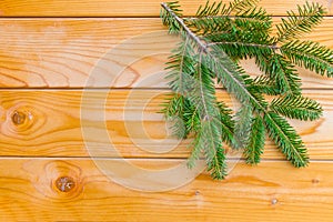 Branch of Christmas fir tree on the wooden board