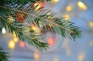 branch of a Christmas tree on a background of Christmas lights new year background, no focus, blur, blurry Closeup of