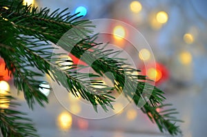 branch of a Christmas tree on a background of Christmas lights new year background, no focus, blur, blurry Closeup of