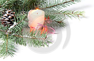 Branch of Christmas tree with candle and pinecone