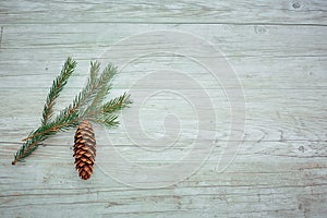 Branch Christmas tree on a colored background, a place for text