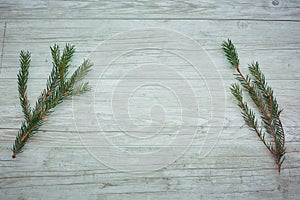 Branch Christmas tree on a colored background, a place for text