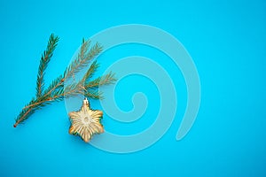 Branch Christmas tree on a colored background, a place for text