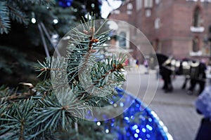 A branch of Christmas tree decorated for new year and Christmas on background of team of horses in Europe, Krakow. background,copy