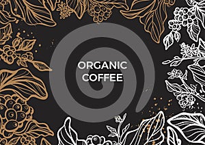 Branch of coffee tree with leaves, flowers and coffee beans. Vector template