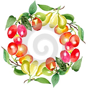 Branch with cornus mas berries. Watercolor background illustration set. Green leaf. Frame wreath.