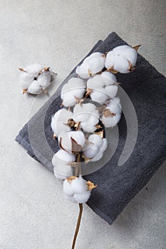 Branch of cotton and baige grey  towels on concrete background