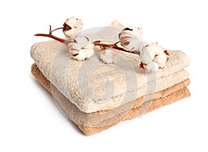 Branch of cotton and two baige cotton towels isolated on white background.