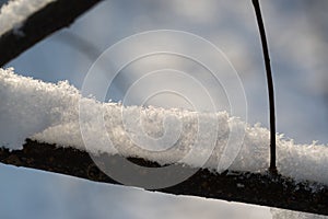 branch covered with snow closeup selective focus