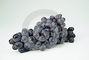 Branch of dark blue wine grapes