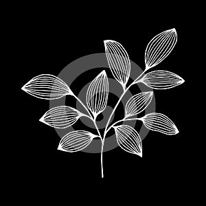 Branch with decorative leaves. Vector stock illustration eps10.