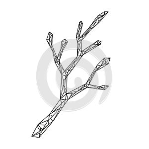 Branch features sharp angles and clean lines, creating an abstract,