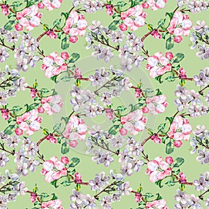 Branch Flowers Apple and Cherry. Handiwork Watercolor Seamless Pattern on a Green Background.