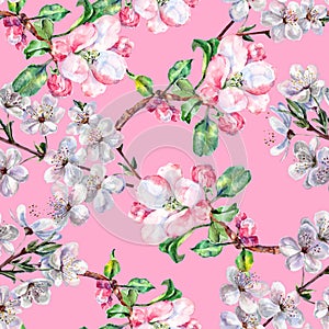 Branch Flowers Apple and Cherry. Handiwork Watercolor Seamless Pattern on a Pink Background.