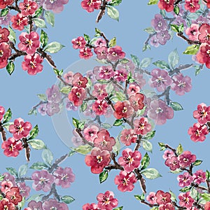 Branch Flowers Sakura. Handiwork Watercolor Seamless Pattern on a Blue Background.