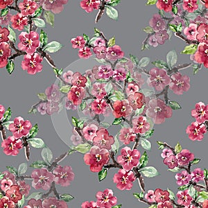 Branch Flowers Sakura. Handiwork Watercolor Seamless Pattern on a Gray Background.