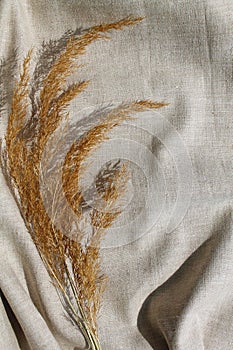 branch of fluffy dried flowers on linen textiles