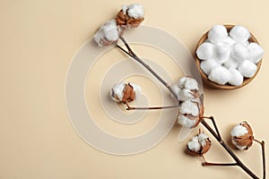 Branch with fluffy flowers and cotton balls in bowl on color background, flat lay