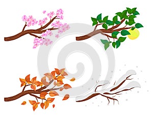 Branch in four seasons - spring, summer, autumn, winter. Collection of Apple trees isolated on white background. Green