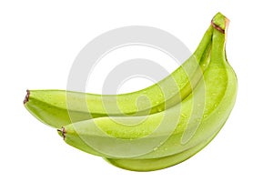 Branch fresh bananas isolated on white background