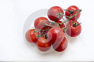 Branch of fresh cherry tomatoes