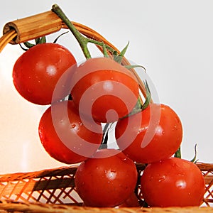 Branch of fresh cherry tomatoes close - up on isolated white background