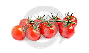 Branch of fresh cherry tomatoes isolated on