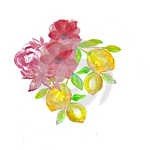 Branch of the fresh citrus fruit lemon with green leaves and flowers. Hand drawn watercolor painting on white background