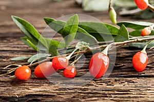 A branch with fresh goji berries on a table