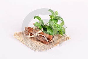 Mint tied with a craft tourniquet with cinnamon sticks on burlap, isolated on a white background