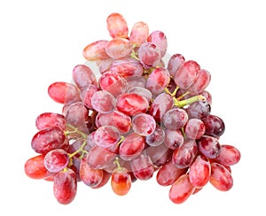 Branch of fresh red grape