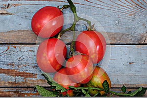 Branch of the fresh red tomato on the wooden table