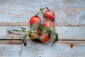 Branch of the fresh red tomato on the wooden table