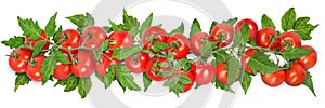 Branch with fresh ripe cherry tomatoes and green leaves on white background, banner design