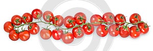 Branch with fresh ripe cherry tomatoes on white background, banner design