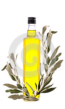Branch with green olives and a bottle of olive oil isolated on w