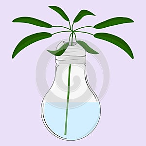 A branch of a green plant in a lamp-shaped vase