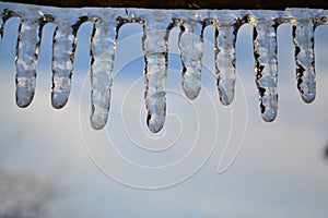 Branch in Icicles.