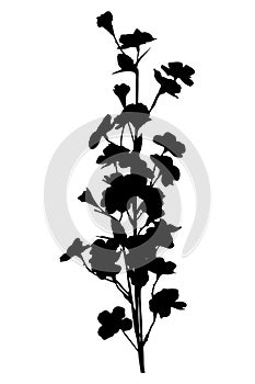 Branch with leaves and blossom - black silhouette