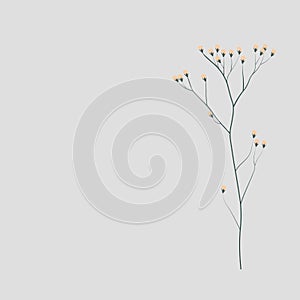 A branch of a meadow flower is a vector stock illustration. Wedding invitation card.