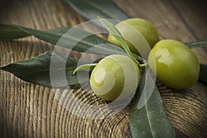 Branch with olive