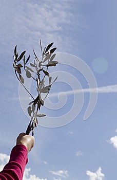 Branch olive easter