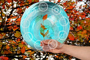 Branch with orange leaves in hand on a beautiful autumn background model of the planet Earth and from red foliage of trees and